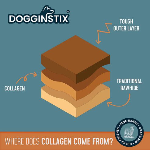 Diagram showing collagen source from tough outer layer and traditional barrier.