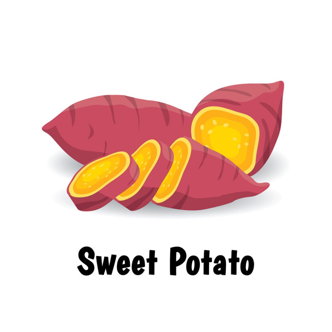 Illustration of sliced sweet potato with text.