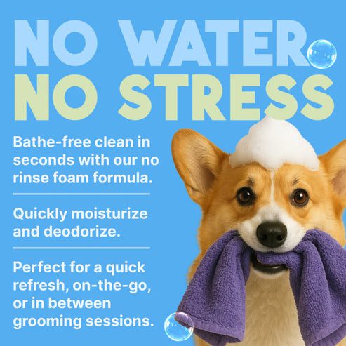 A dog with a towel wrapped around its head promoting quick, stress-free pet cleaning.
