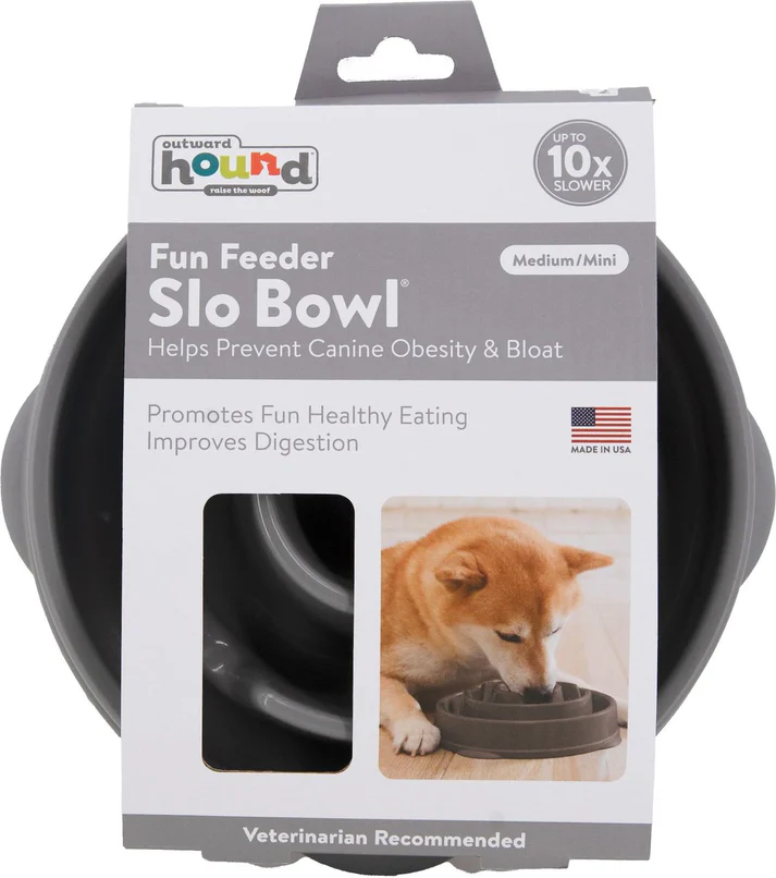 Slow feeder bowl for dogs to promote healthy eating.