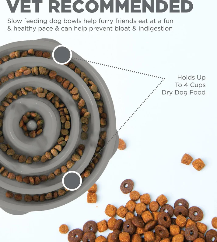 A slow feeding dog bowl filled with dry dog food.