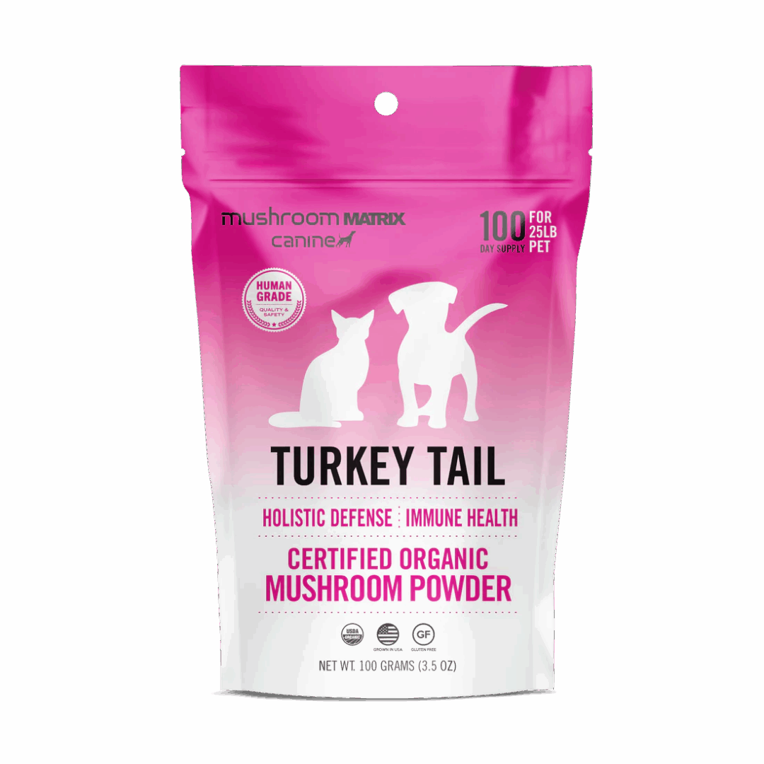 Pink package of certified organic turkey tail mushroom powder.