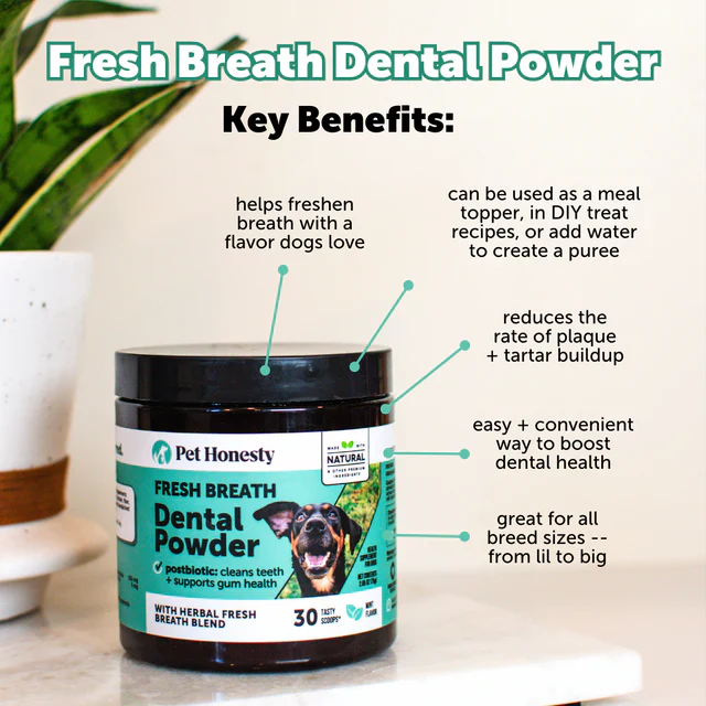 Dental powder powder jar with green leaves in background, highlighting fresh breath and dental health benefits.