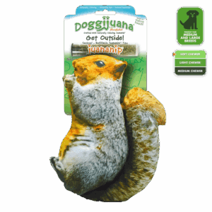 Dog toy shaped like a squirrel with a squeaker inside.